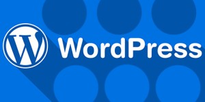 采取几个步骤来增强WordPress网站的安全性