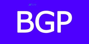 探究美国BGP服务器独享IP的优势