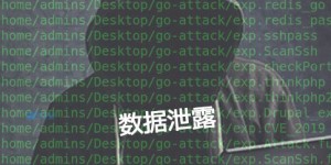 2020年的数据泄露统计