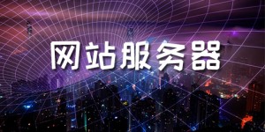哪些是常见的网站服务器漏洞和解决方案