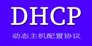 DHCP服务器的作用和工作原理