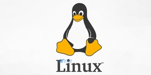 探索佛蒙特Linux服务器的数据库管理与优化技术