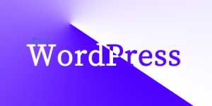如何找到最好的WordPress插件？WordPress插件是什么？