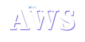 AWS服务器价格因哪些策略和类型而异？