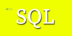 网络攻击指南的SQL注入