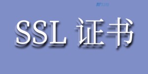 在美国服务器上安装和配置SSL证书以及HTTPS特性：确保数据安全传输的完整指南