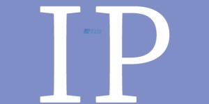 如何绑定网站到美国多IP服务器？优化网站性能与可靠性