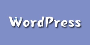 是否可以在一台服务器上托管多个WordPress网站？