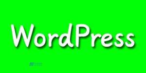 什么是WordPress HTTP 500内部服务器错误？