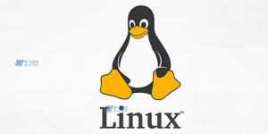 美国Linux服务器常见的数据备份方法，灾难恢复策略的重要性和实施方法