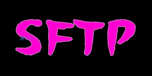 SFTP服务器的优缺点，SFTP服务器对于企业的作用是什么？