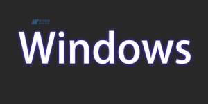 确保Windows服务器的安全性有哪些选项？