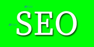 探讨美国SEO服务器如何应对网站内容不完整的问题