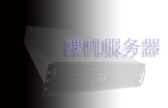 裸机服务器与虚拟专用服务器托管的优缺点是什么？