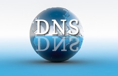 缅因DNS服务器的IP地址分配和管理方法