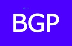 探究美国BGP服务器独享IP的优势