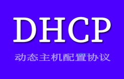 探究如何将美国DHCP服务器租期设为永久