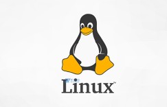 探索佛蒙特Linux服务器的数据库管理与优化技术