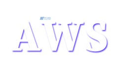 AWS服务器价格因哪些策略和类型而异？