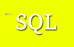 网络攻击指南的SQL注入