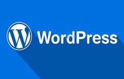 2022年保持WordPress网站安全的9种方法