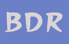 什么是备份和灾难恢复？备份和灾难恢复(BDR)服务器的5大优势