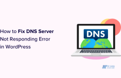 什么是WordPress中的“DNS服务器未响应”错误？